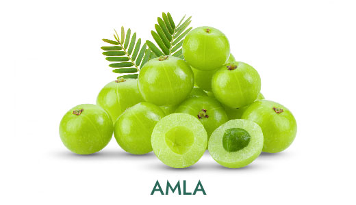 04-sk-ingredients_amla