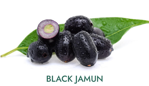 04-sk-ingredients_black-jamun